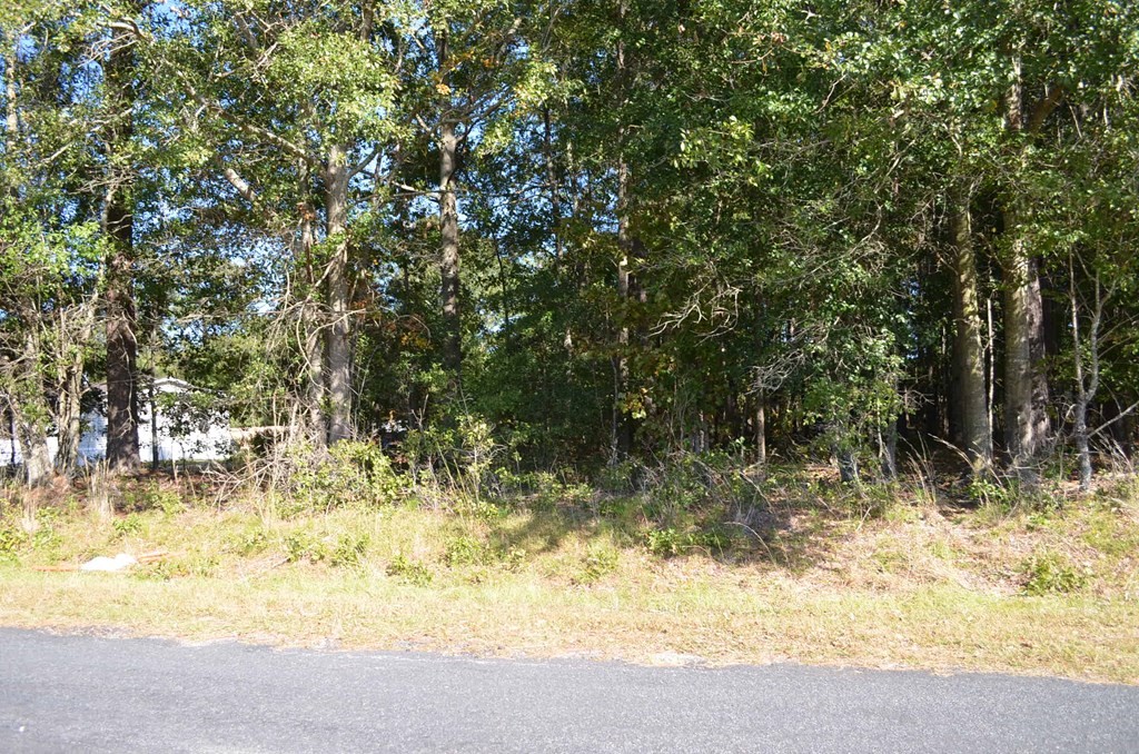 00 Mallett Rd