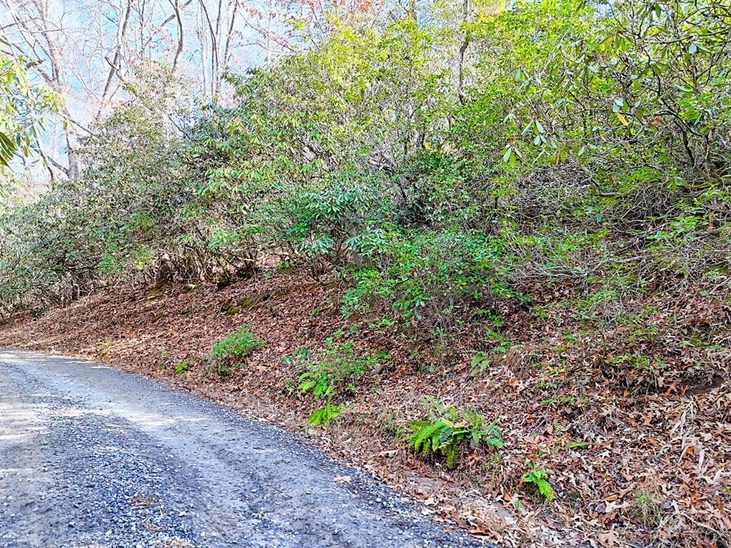 Other - 0 Ruby Knoll Lane, Franklin, NC
