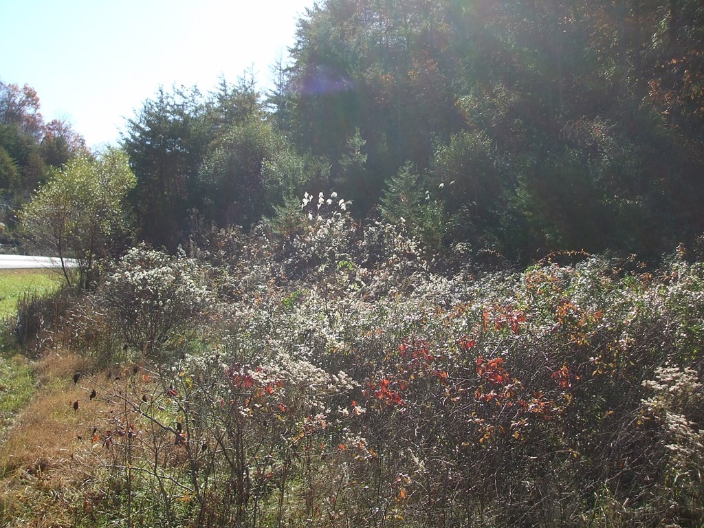 Other - 0 U.S. 23 North (Lot 3) DB 442, DP 586, Nippa, KY