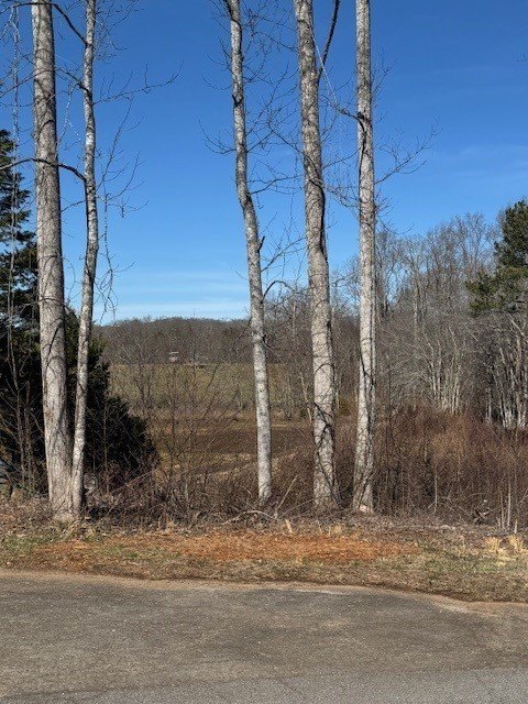 Other - 1 & 1a Sneaking Creek Drive, Hayesville, NC