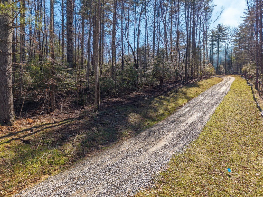 Other - 77 Big Pine Hill, Blairsville, GA