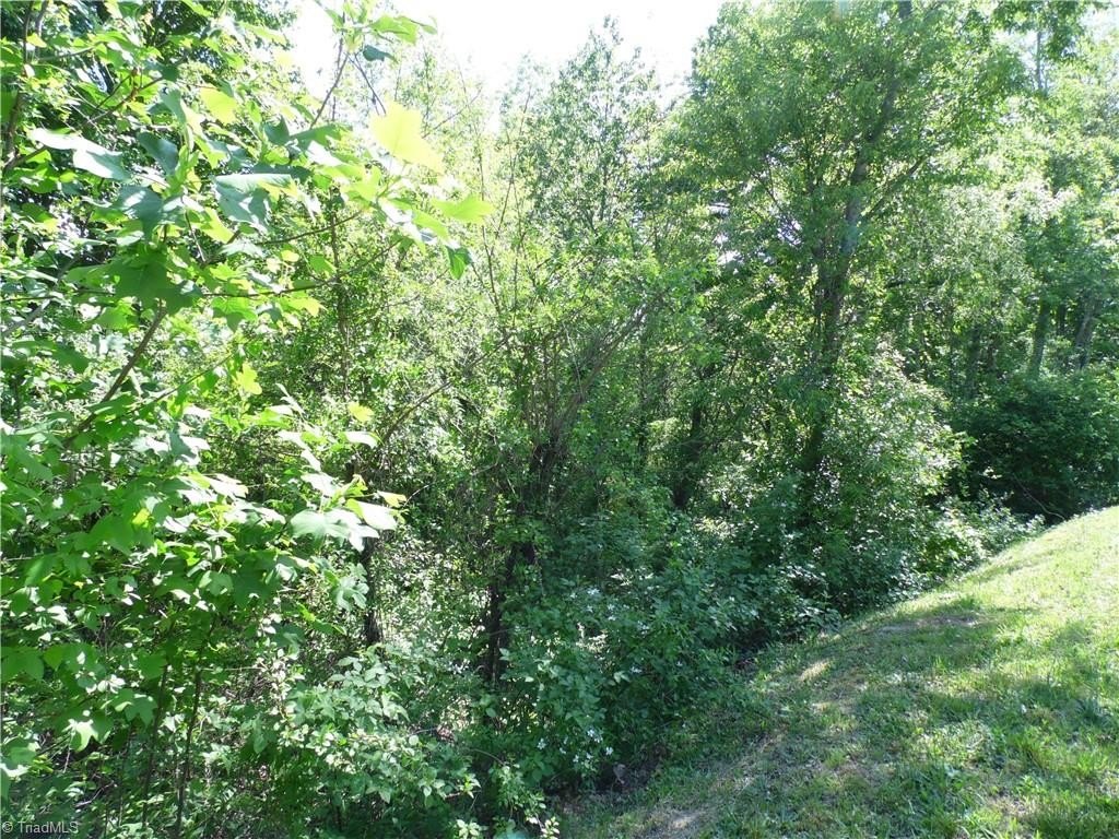 Single Family - Ridgewood Road lot: #37, Sparta, NC