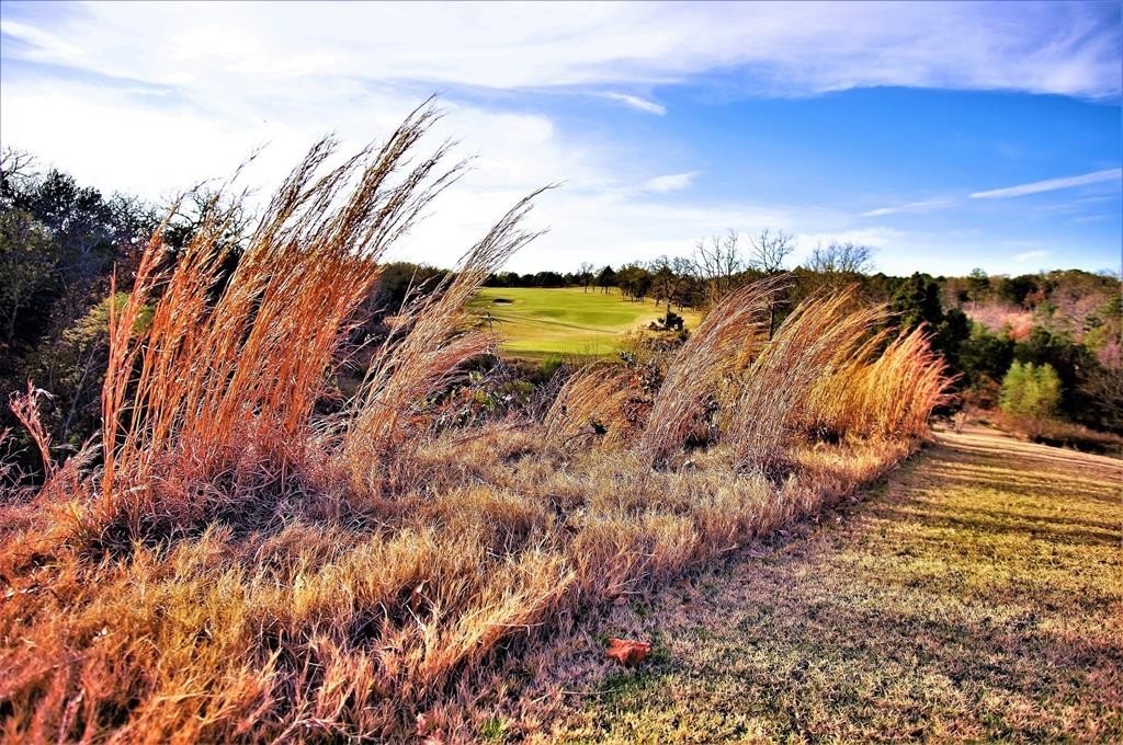 Other - Stonewolf Court lot: 101A, Gordonville, TX