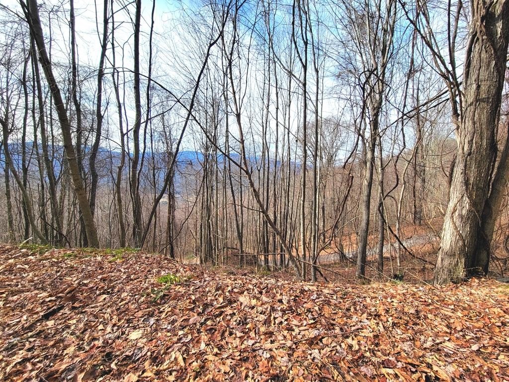Other - 75 Rimrock Rdg, Clyde, NC