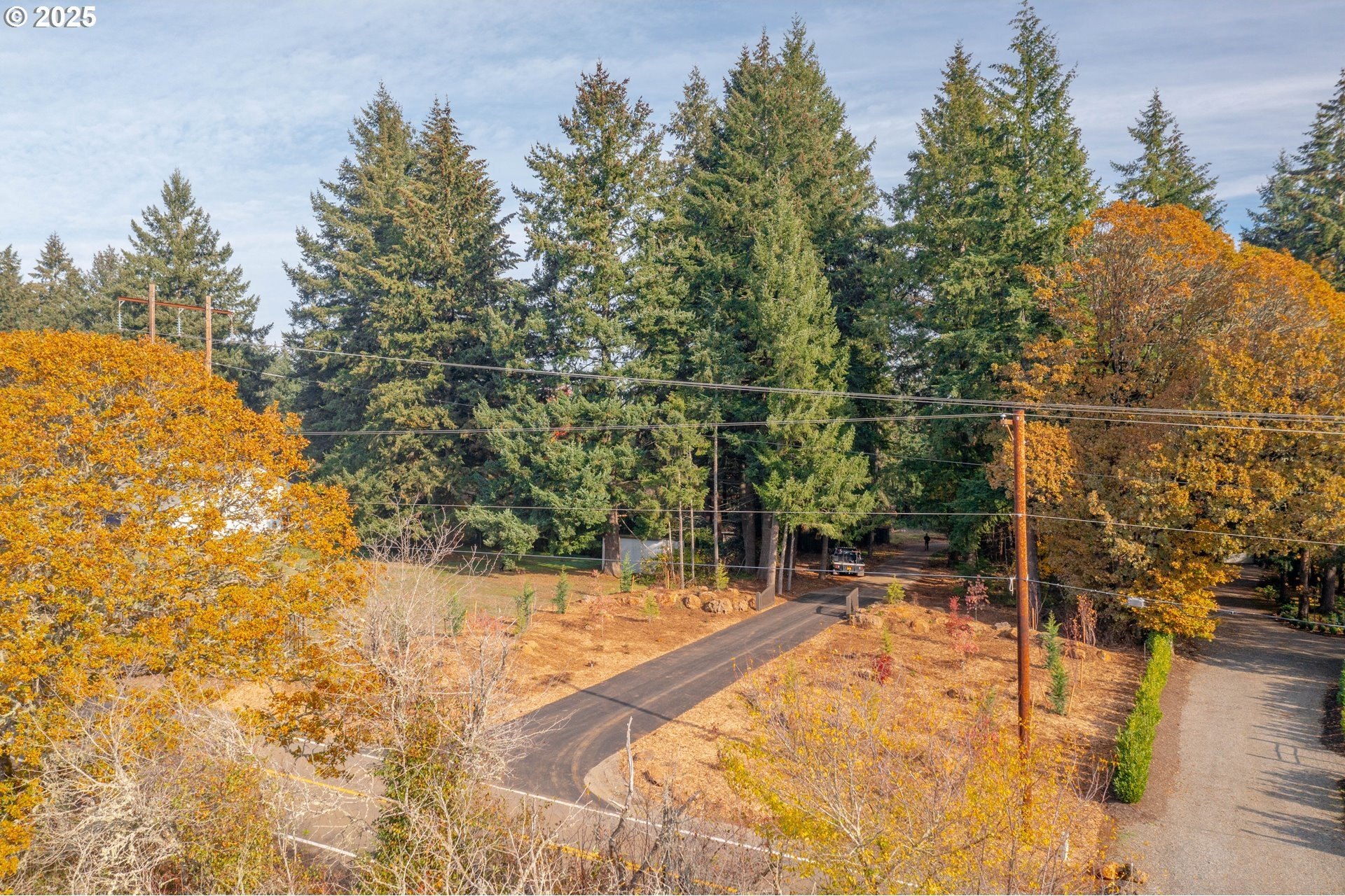 2881 S Forest Haven Way  