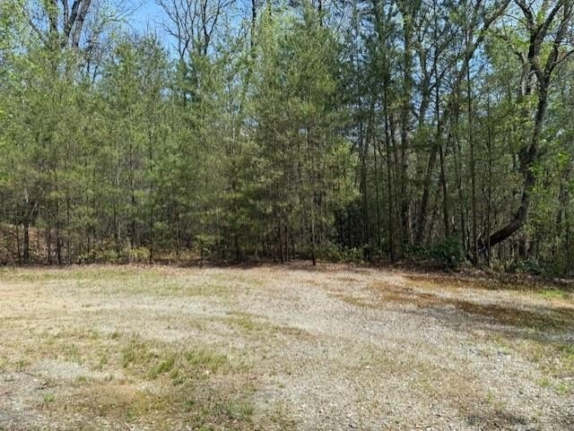 Other - Marjorie Avenue lot: 5, Ellijay, GA