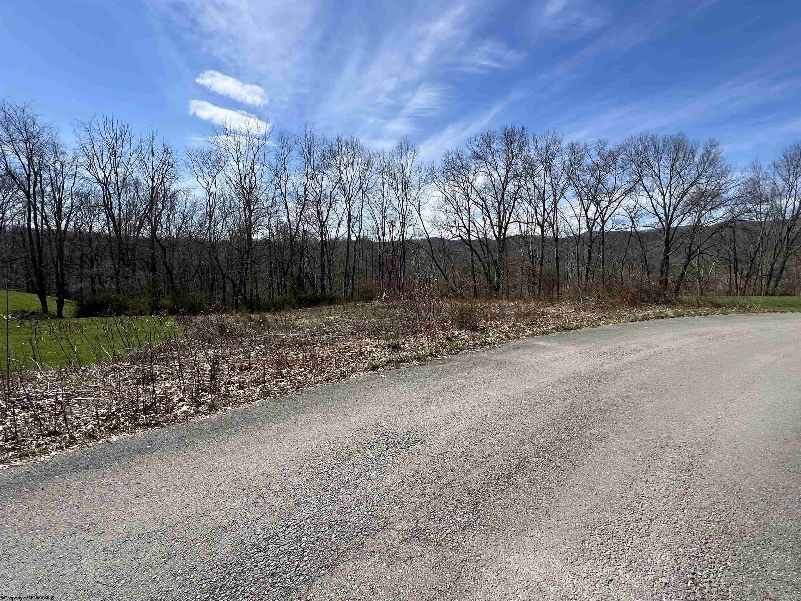 Other - LOT 9 Bosworth Drive, Elkins, WV