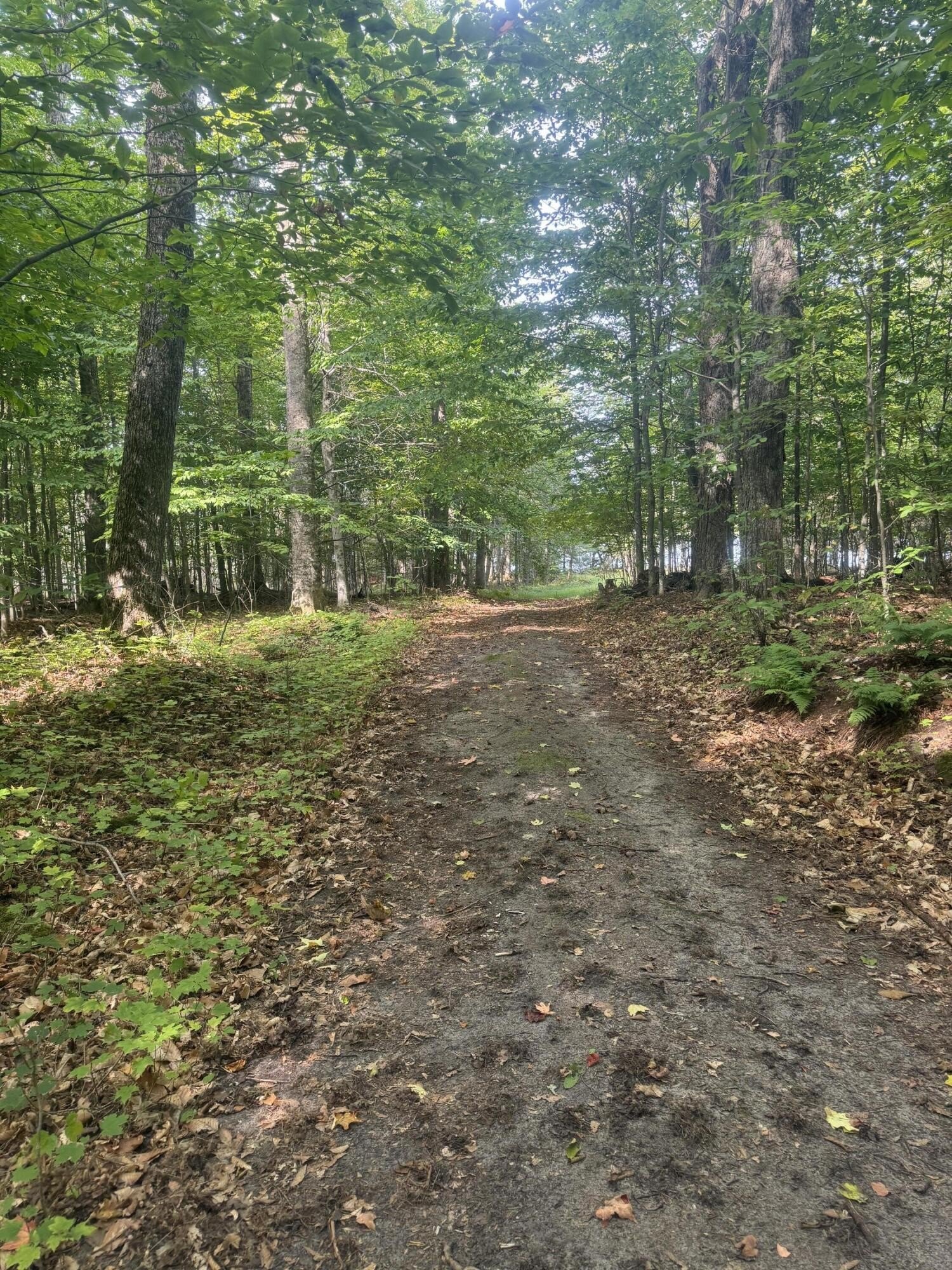 Other - Donner Drive, Germfask, MI