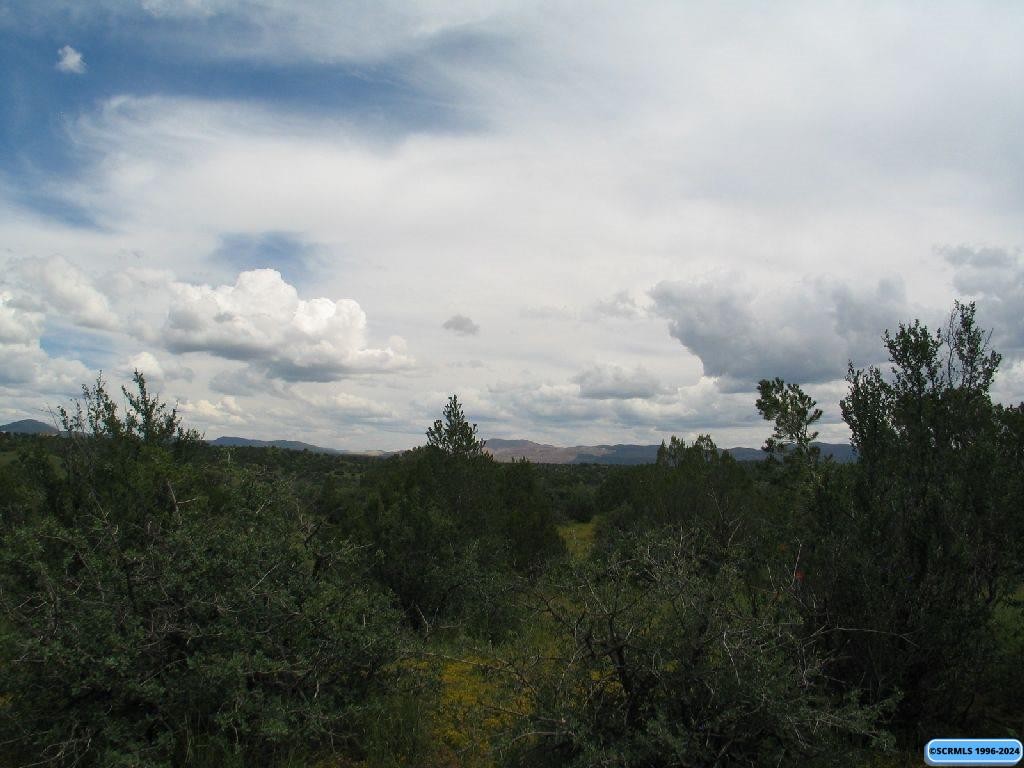 Other - Tract C XYZ Ranch Road, Silver City, NM