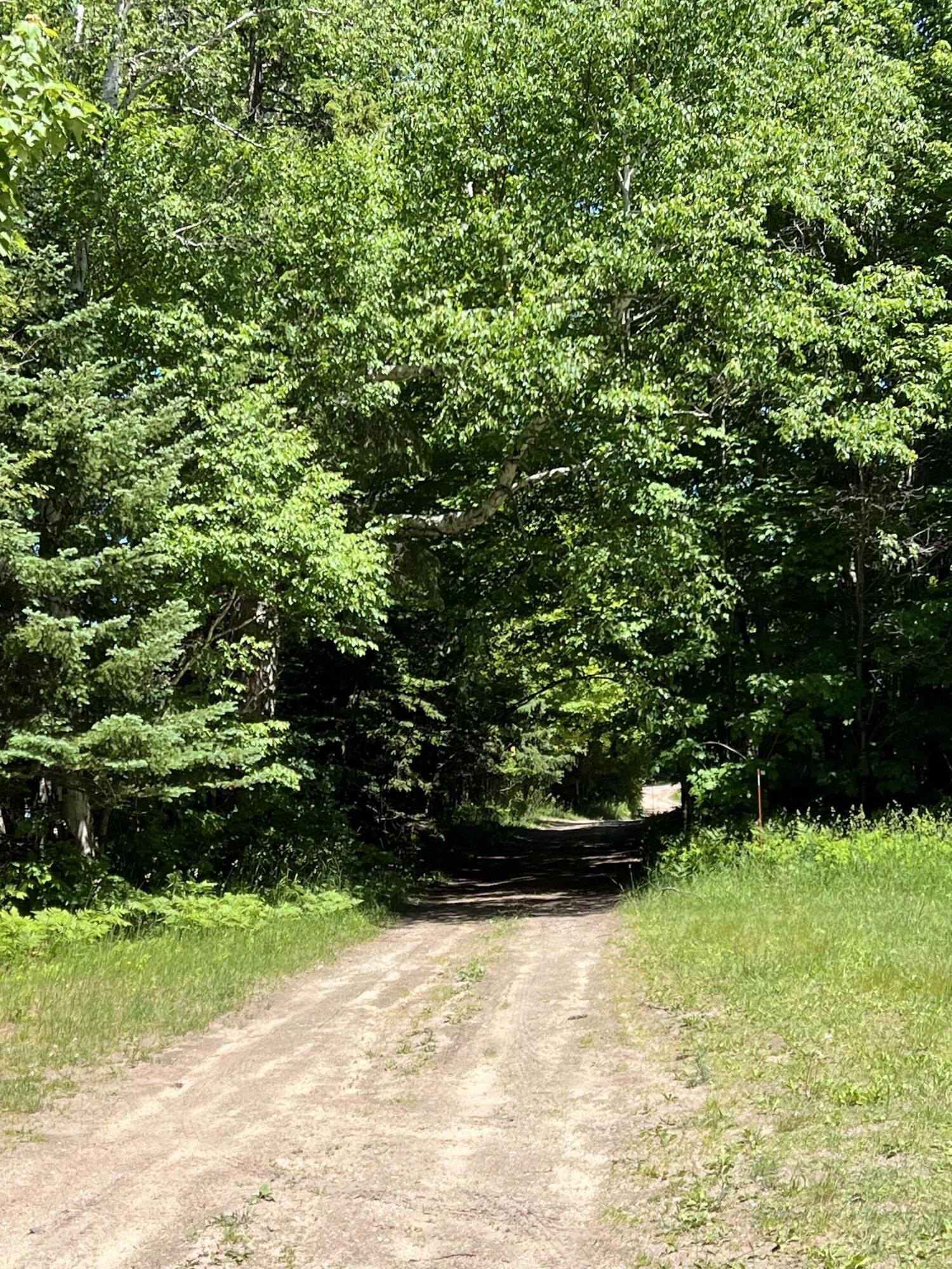 Single Family 2BR 2BA - 14145 N Ellen St, Grand Marais, MI