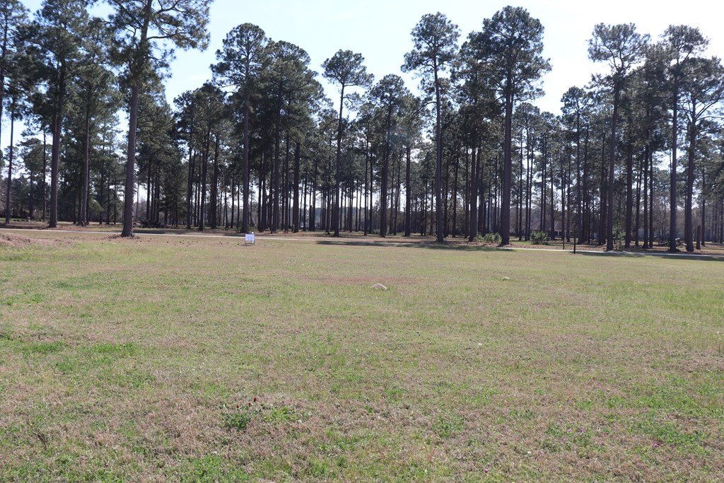 Lot Unit 17 Cannon Br