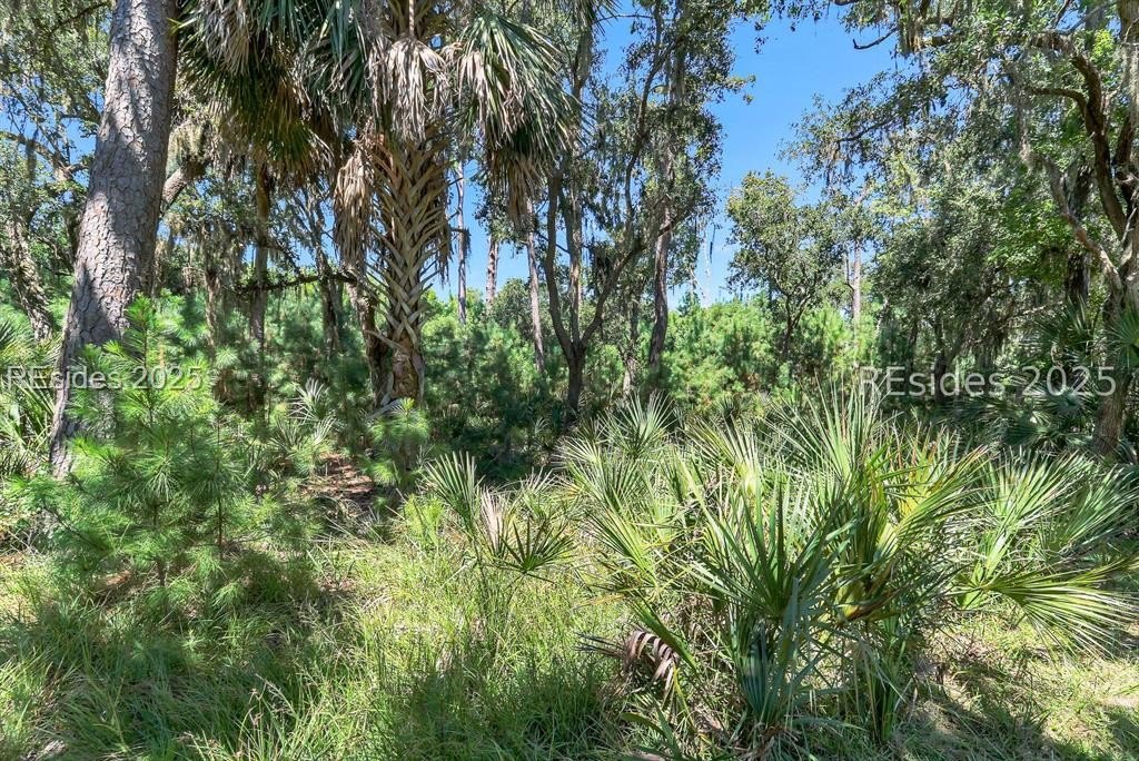 Other - 10 Beauregard Boulevard, Daufuskie Island, SC