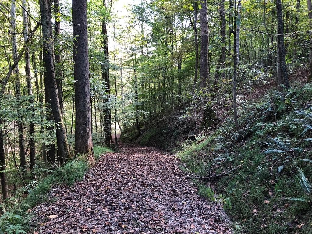 Other - Off Scary Creek Road in Hamlin, Lincoln County, OTHER, WV