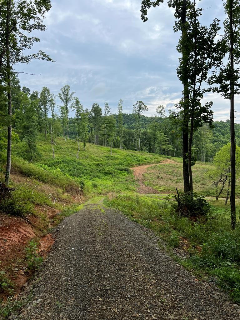 151-a-3 Lambsburg Rd  