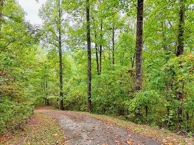 Other - Lot 1 Skyview Drive, HAYESVILLE, NC
