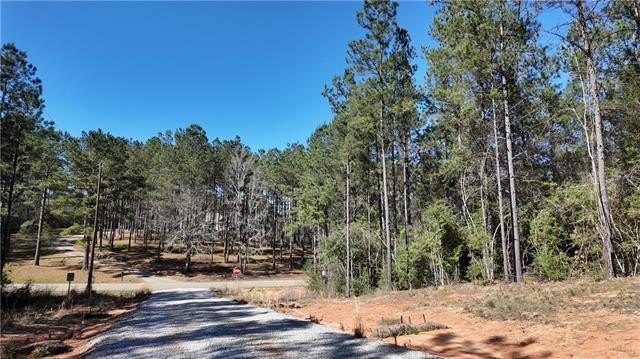 Other - N BETHEL Road lot: 8, Franklinton, LA
