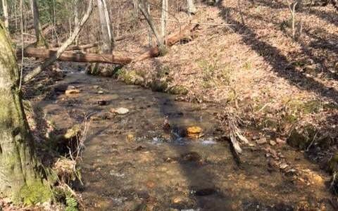 Other - Gooch Creek Cove lot: 7A & 7B, Suches, GA