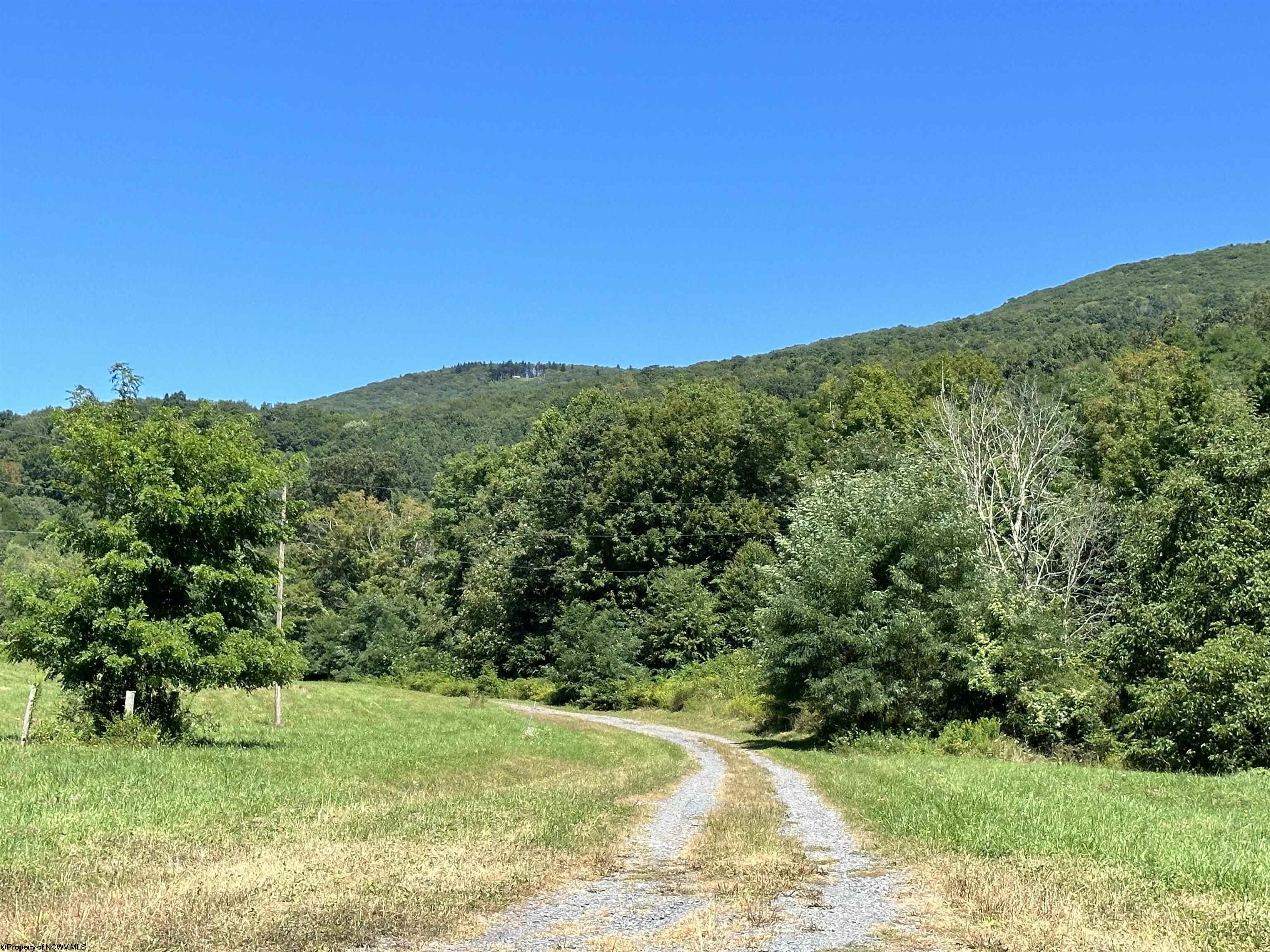 Other - Lot 8 Alpenglow Ridge Drive, Dryfork, WV