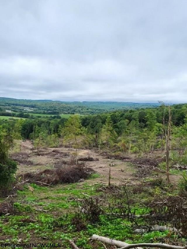 Other - Lot 4 998 Hanlin Road, Bruceton Mills, WV