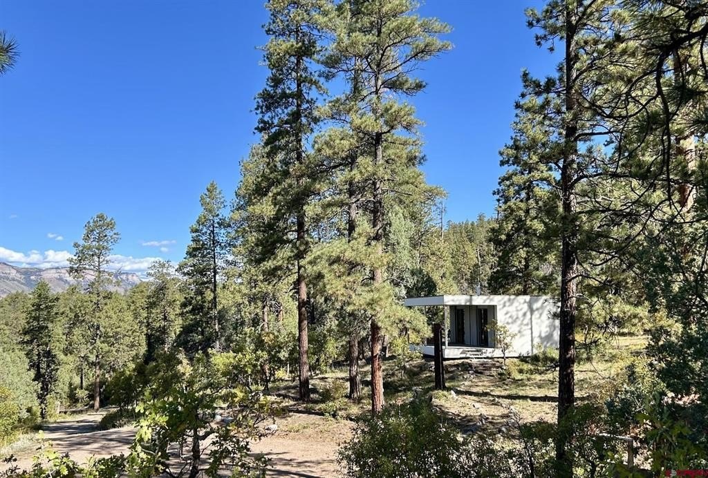 Other 1BR 1BA - 2326 Celadon Drive E, Durango, CO