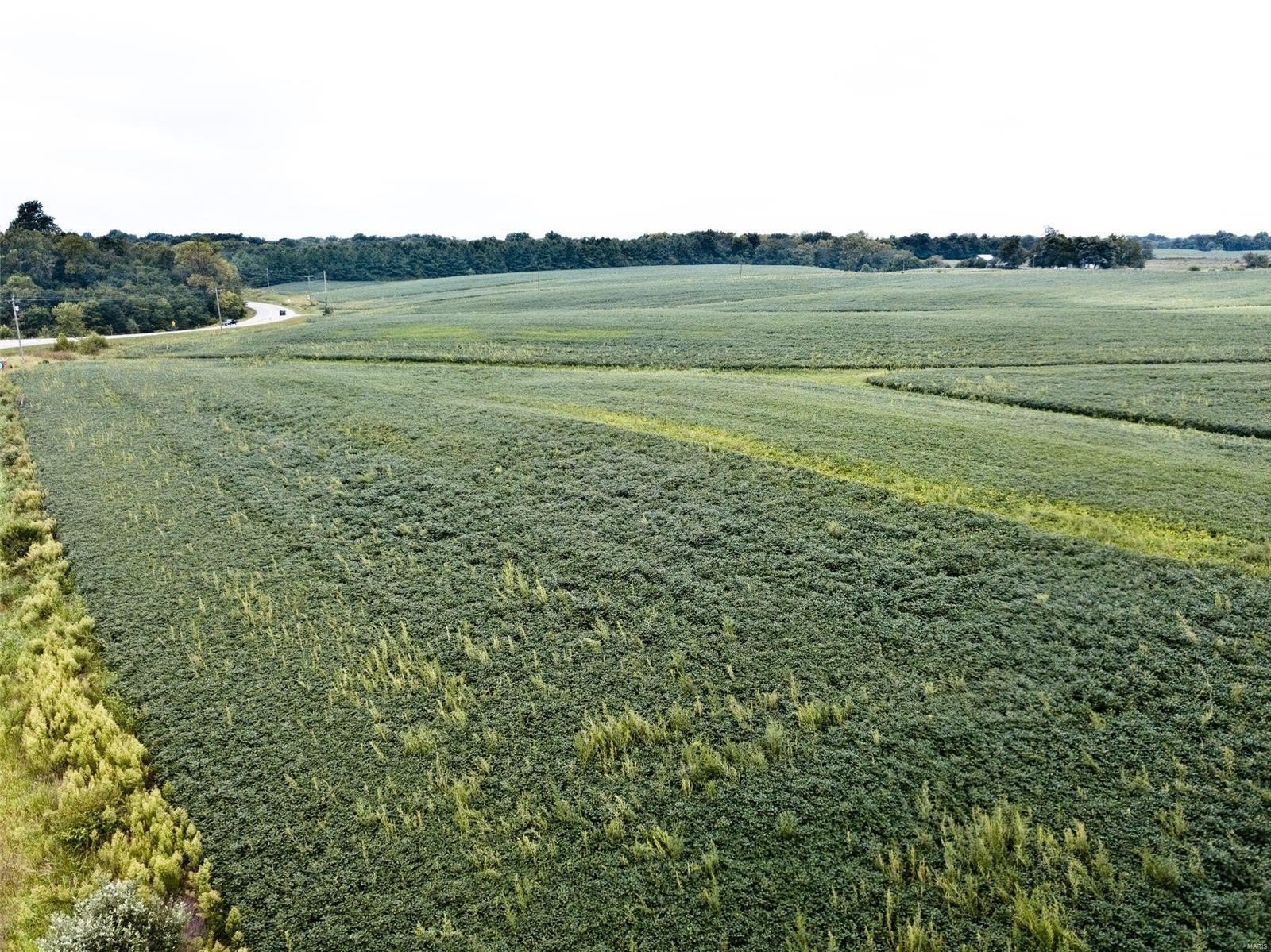 Other - 7735 State Route 143, Edwardsville, IL