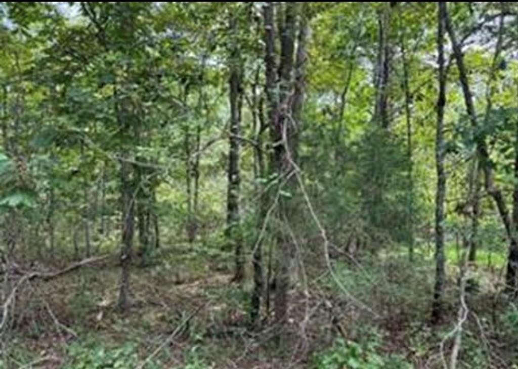 Other - 406 Wahoo Drive lot: 164, Crossville, TN