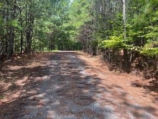 Other - Emelia Road, Morganton, GA