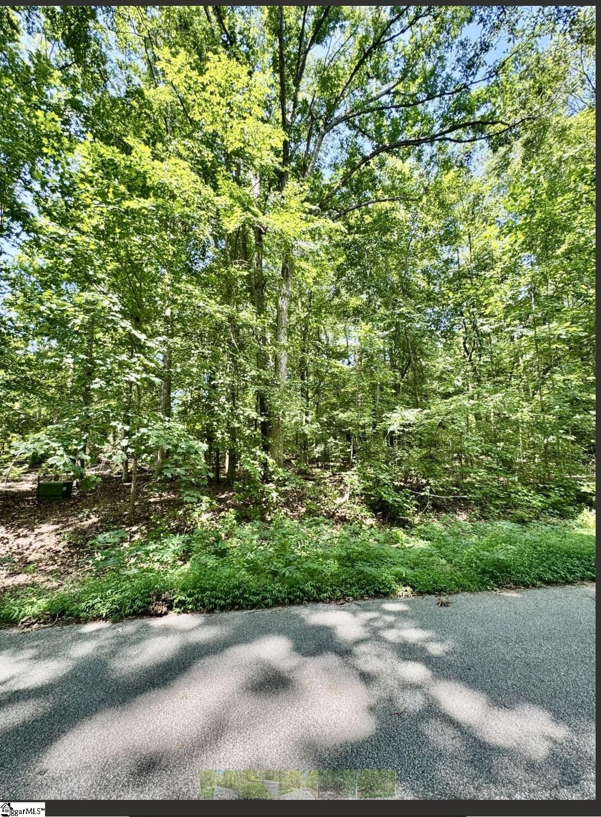 Other - Adair Place lot: B, Laurens, SC