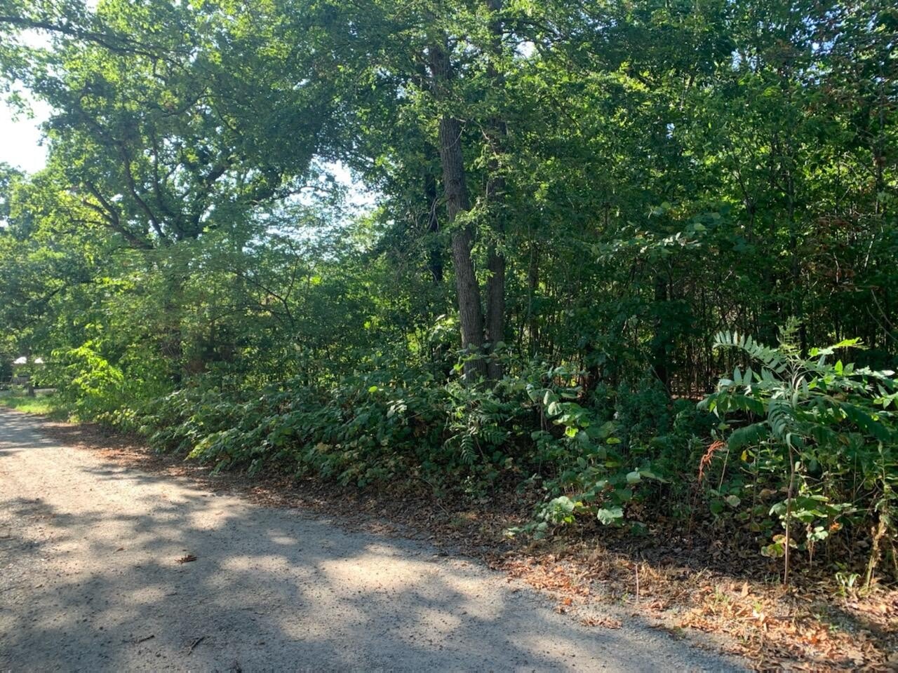 E 248 RD Rd  