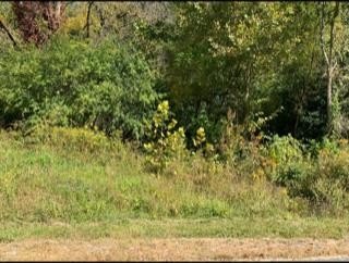 Other - 624 Thompson Creek Ln_Lot 71, Cookeville, TN