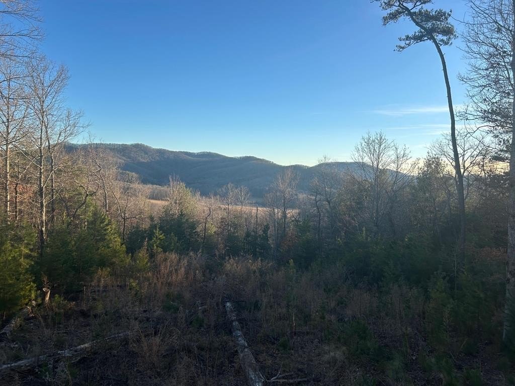 Other 3BR 3BA - Stanleys Ridge, Morganton, GA