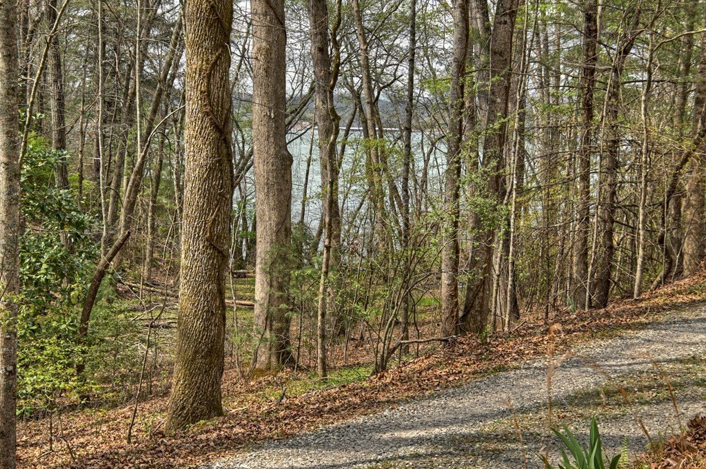 Single Family 1BR 1BA - 32 Lake Front, Morganton, GA