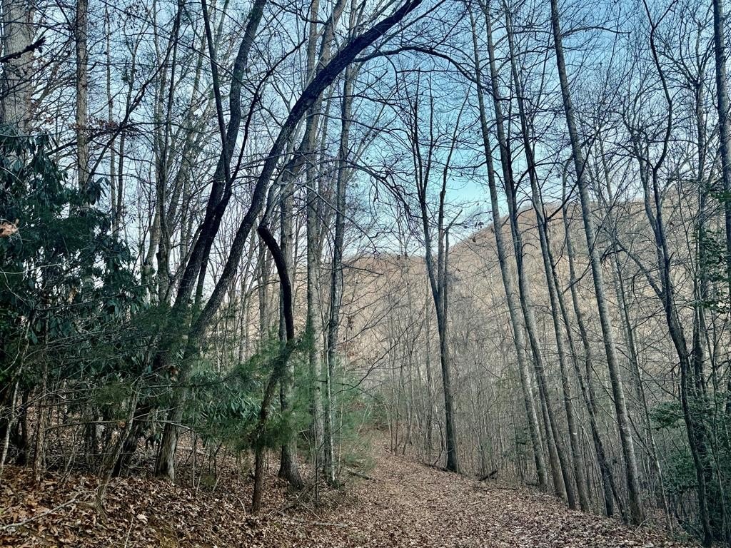 Other - Bradley Creek Rd, Franklin, NC