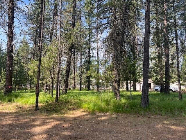 Other - 203 EAGLE DR, CHEWELAH, WA