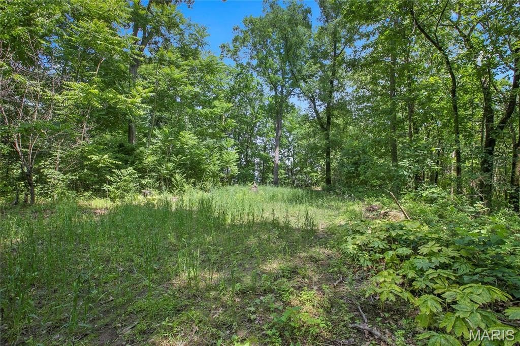 Other - 8.75 Acres Mississippi Queen Court, Festus, MO