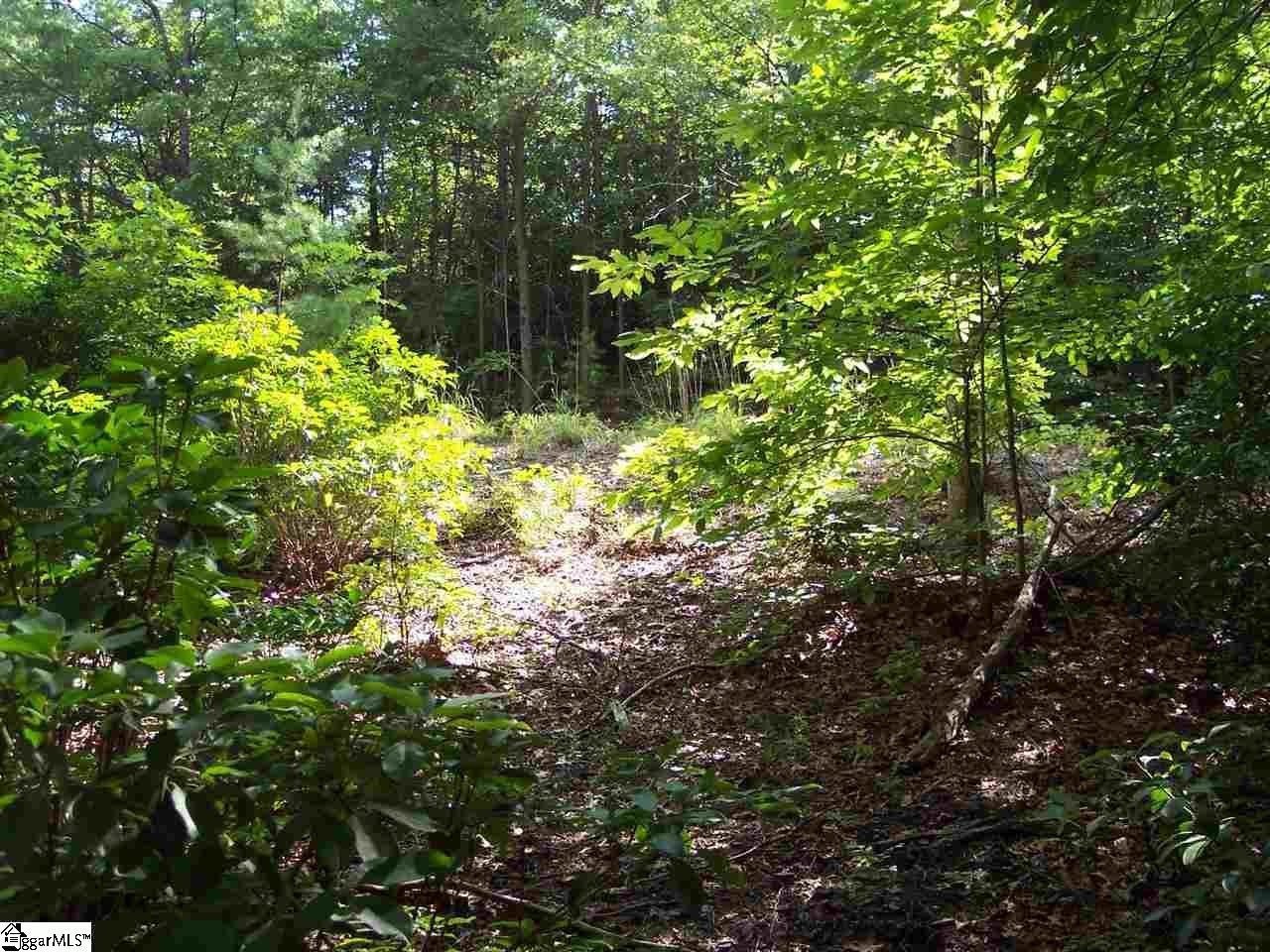 Other - 8 Woods Pond Cr Woods Pond Court, Cleveland, SC