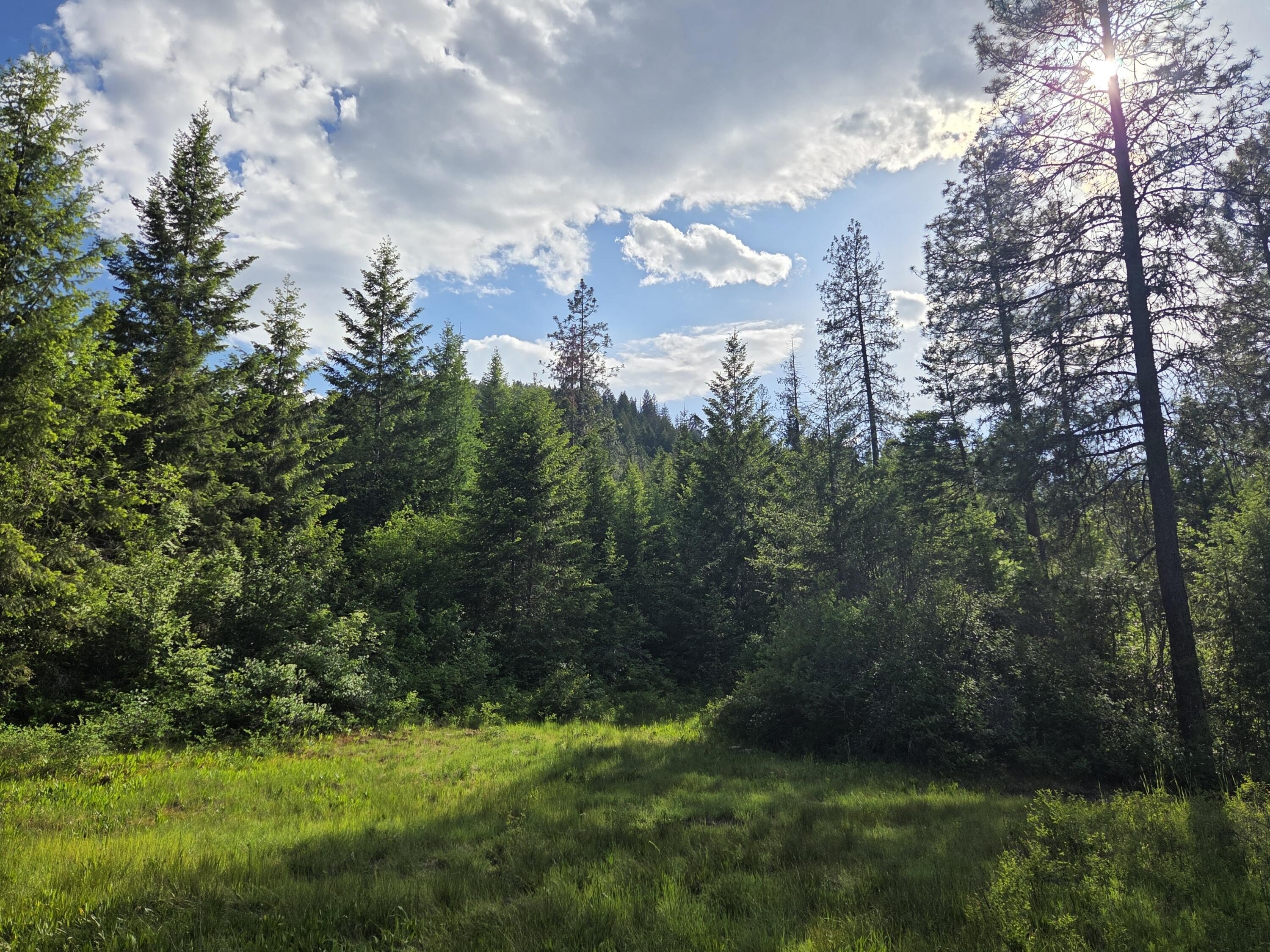 Other - 3XX BUSCHER WAY, COLVILLE, WA