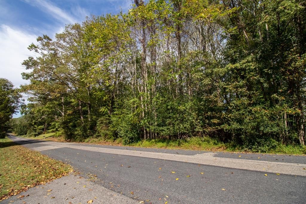 Other - Golf Course Rd lot: 14 & 38, Spencer, VA