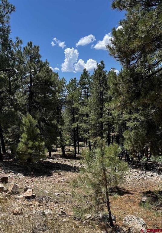 Other - 124 Woodridge Circle, Pagosa Springs, CO