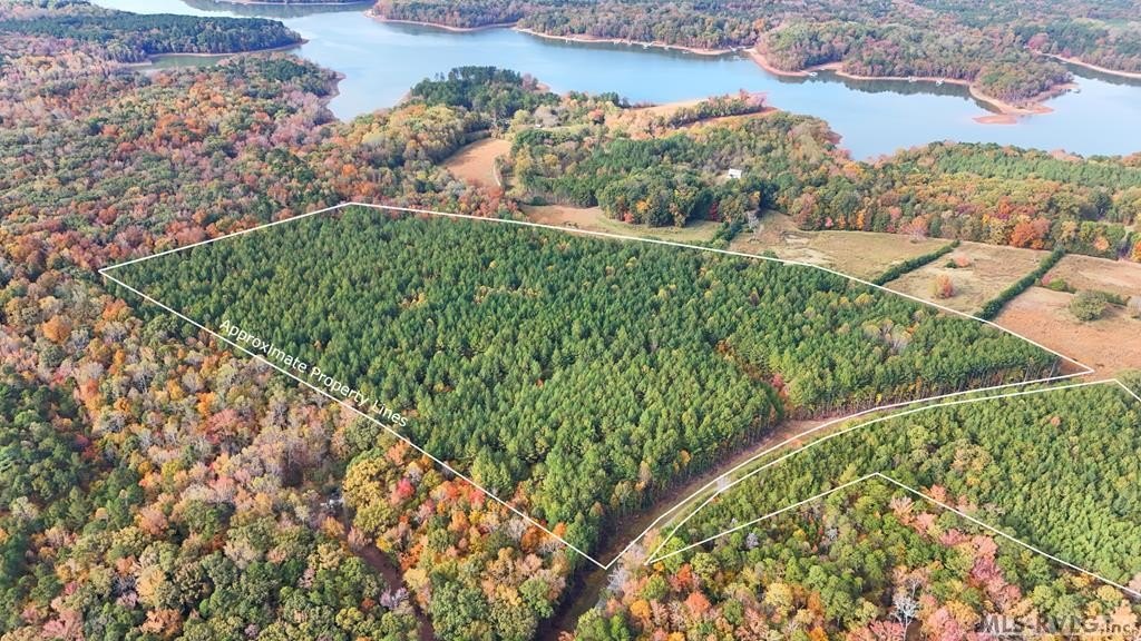 Plots and Land - 45.83 Ac Old School Road, Clarksville, VA