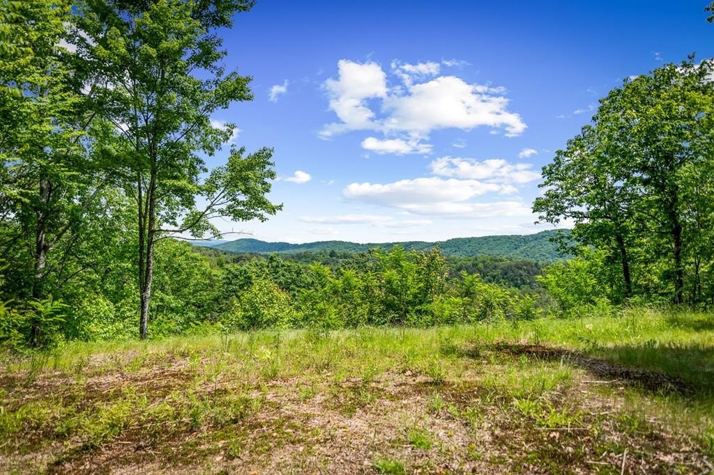 Other - Lt 379 Dream Catcher, Blue Ridge, GA