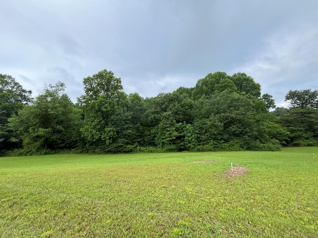 Other - Lot 117 Owen Glen Drive, Blairsville, GA