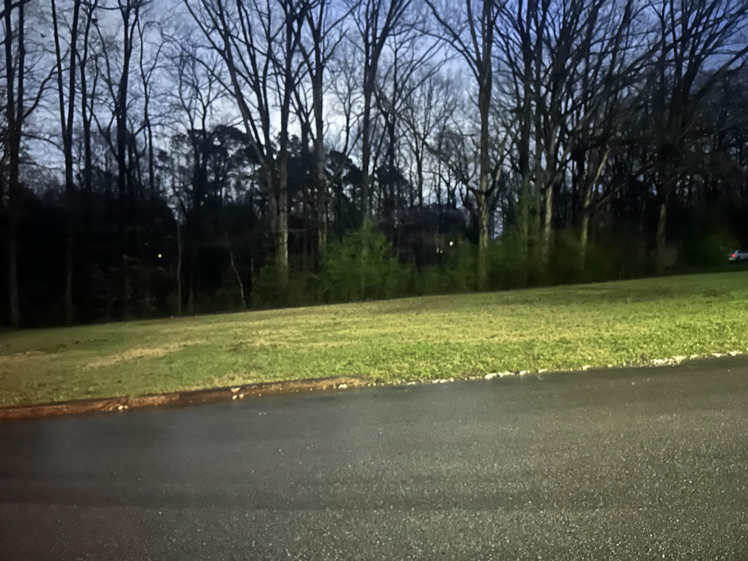 Other - SHELBY Ln lot: 5, Bolivar, TN