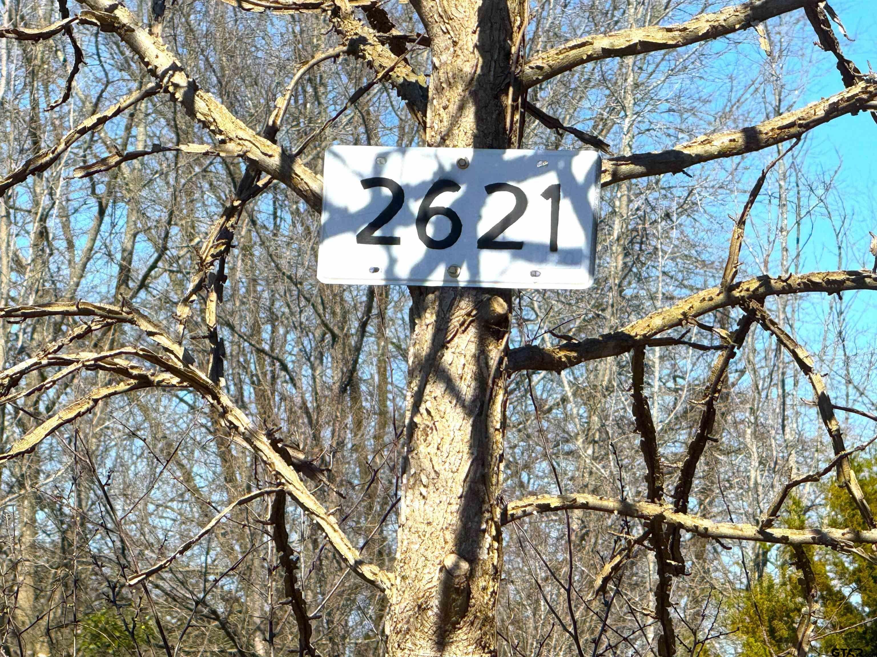 Other - 11 AC CR 2620 & CR 2621, Hughes Springs, TX