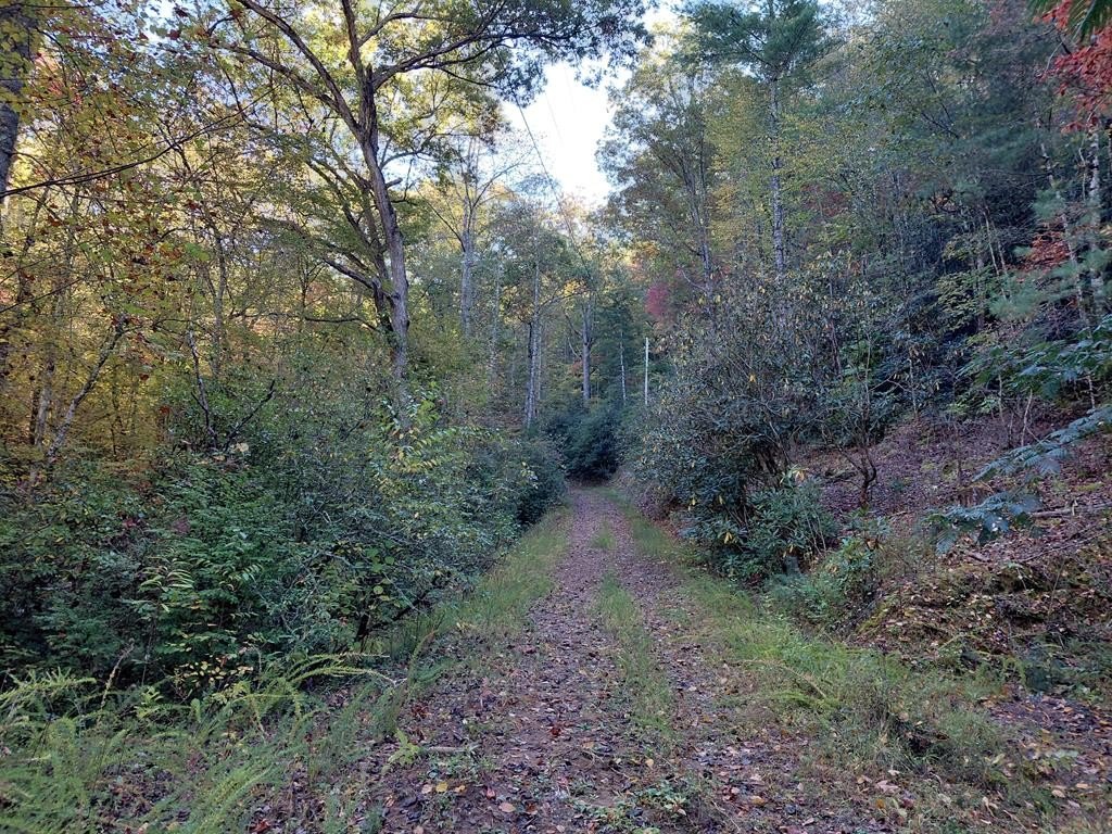 Other - Foxfire Estates lot: G8, Robbinsville (Graham), NC