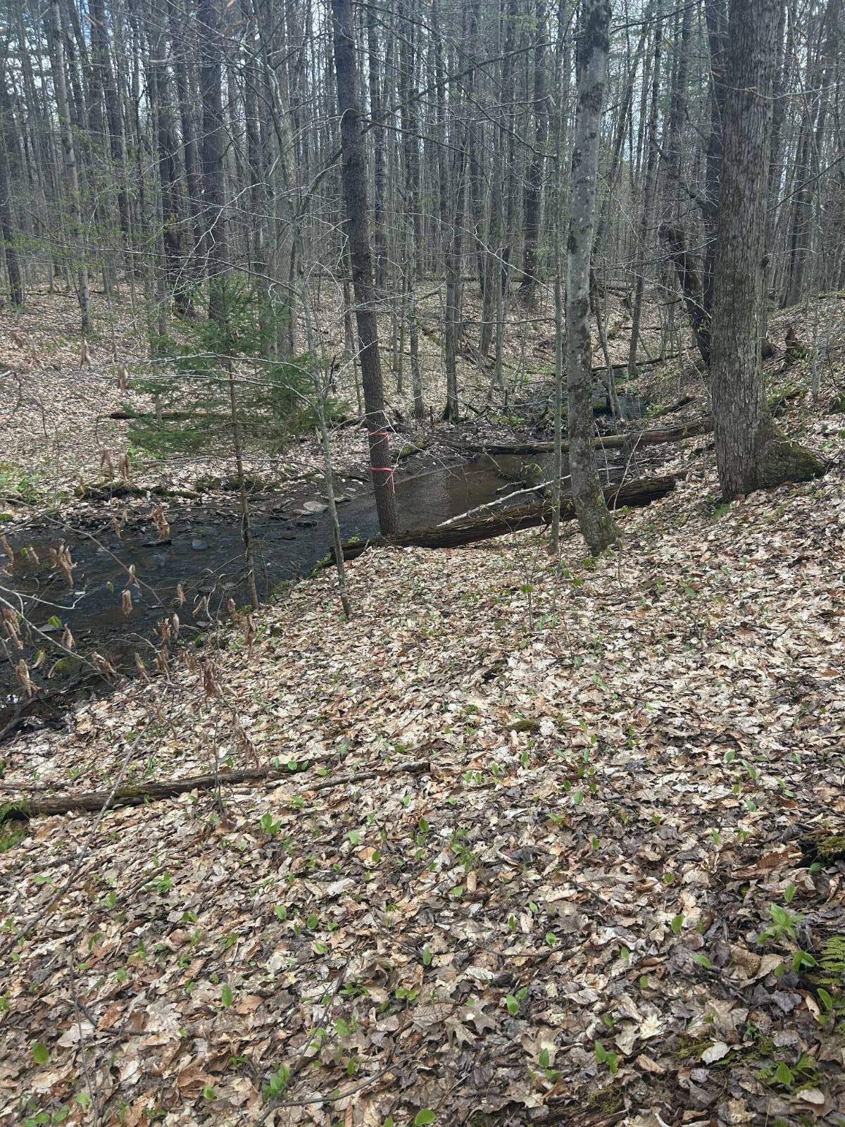 Other 1BR 1BA - 222 Starr Rd, Otego, NY