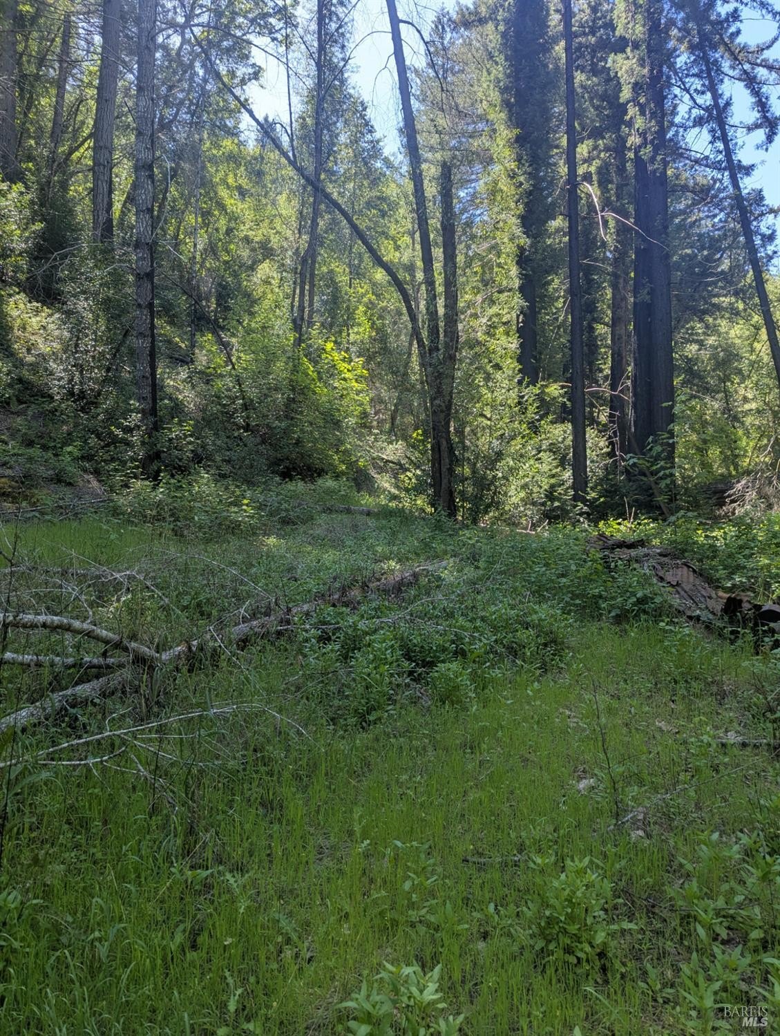 Other - Skaggs Springs Road, Geyserville, CA
