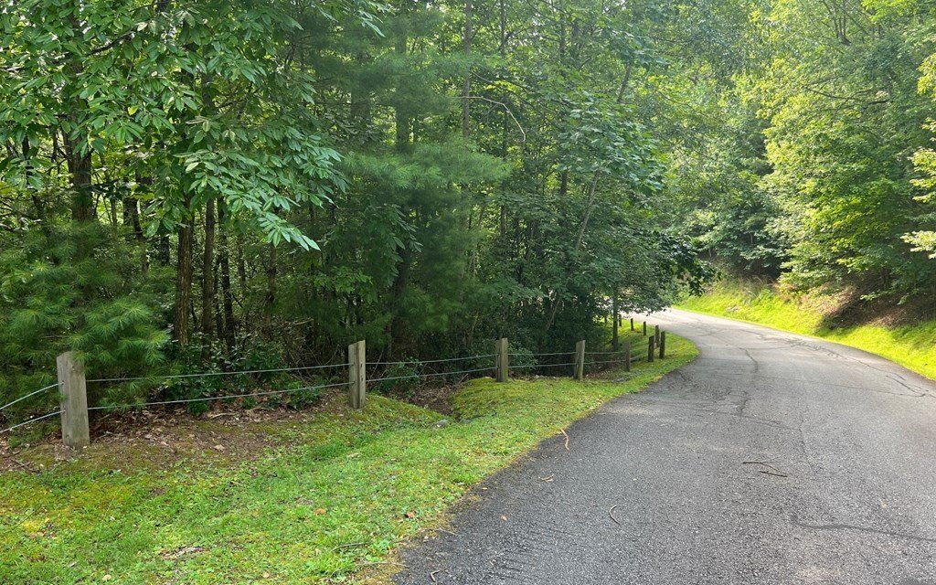 Other - Lot 40 Double Knobs, HAYESVILLE, NC
