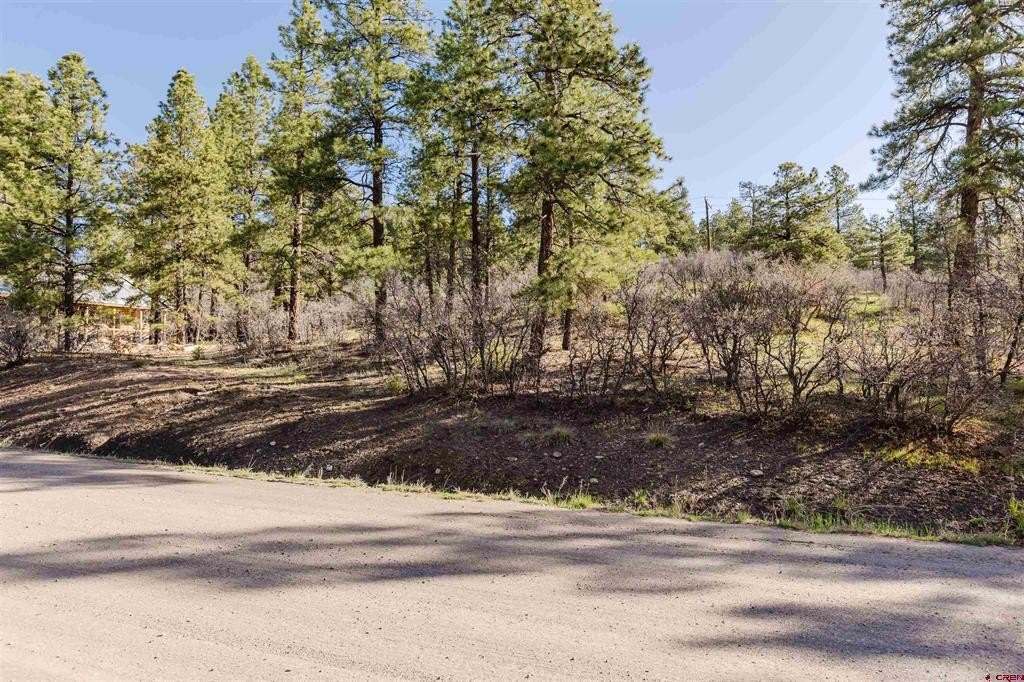 Other - 106 Granada Drive, Pagosa Springs, CO