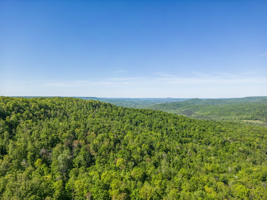 Other - 1080 Eastridge Pass, Monterey, TN